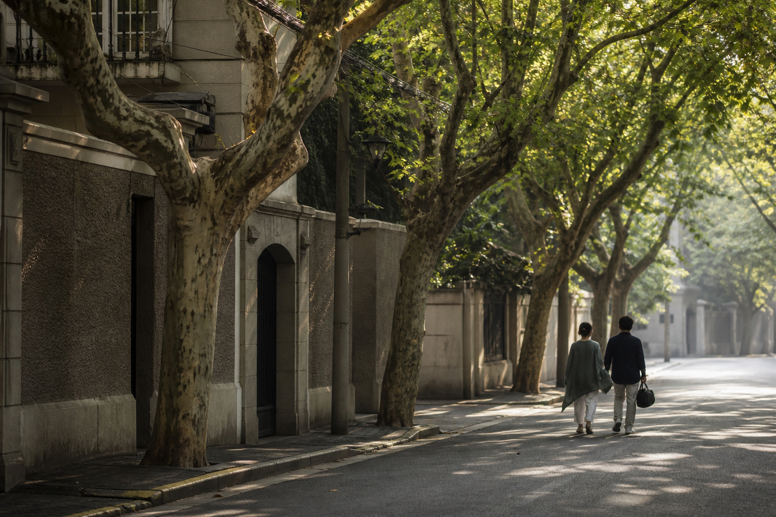 A quiet plane-tree-lined Shanghai street