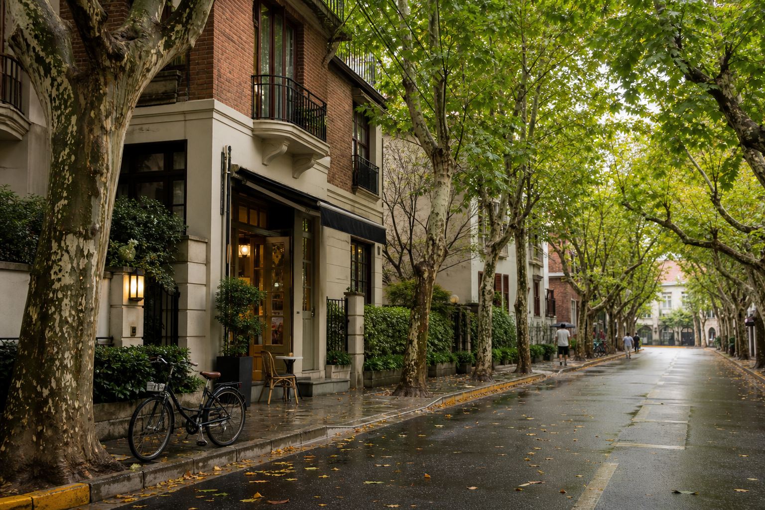 A plane-tree-lined street near Wukang Road