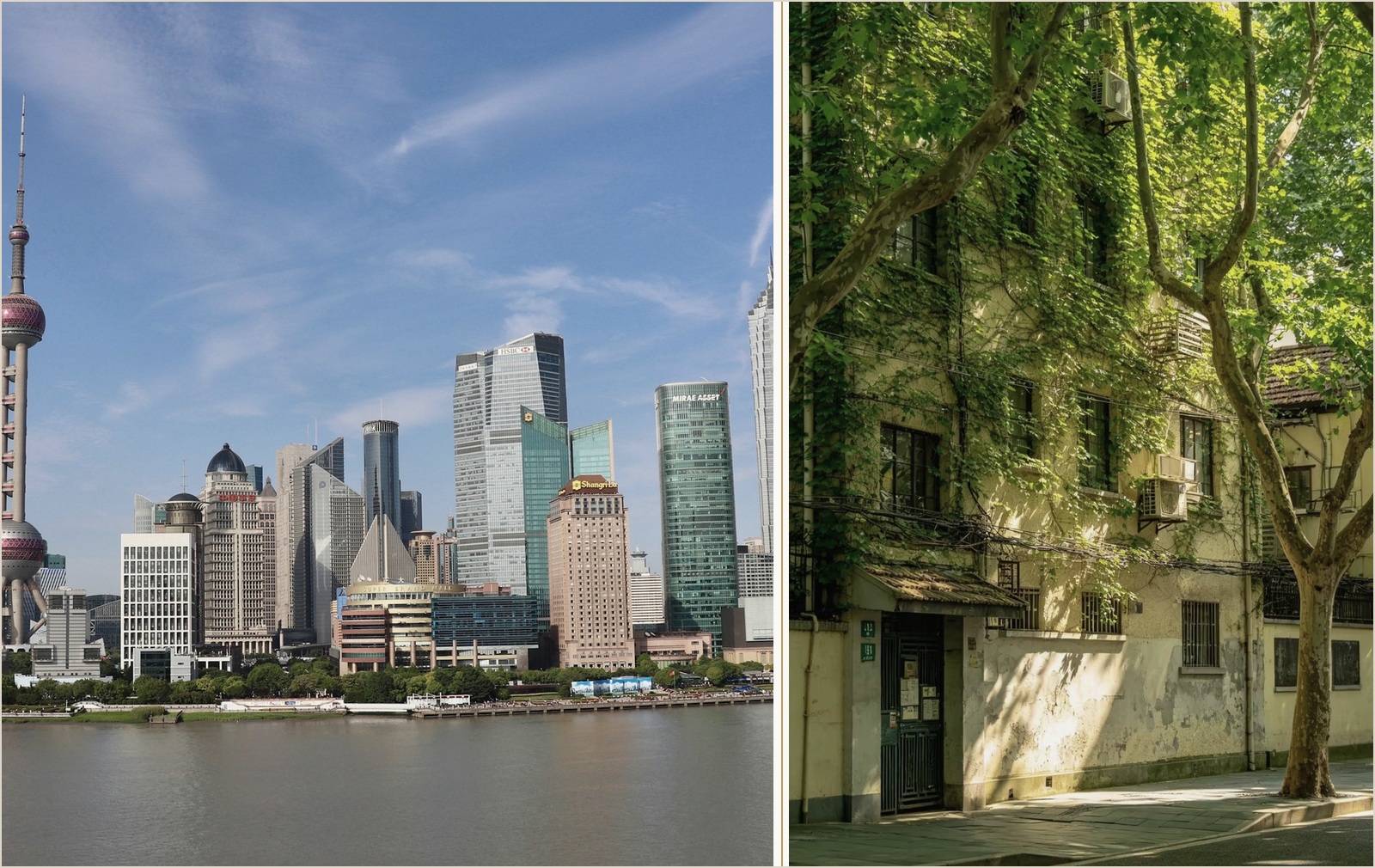 Shanghai skyline beside a leafy historic neighborhood
