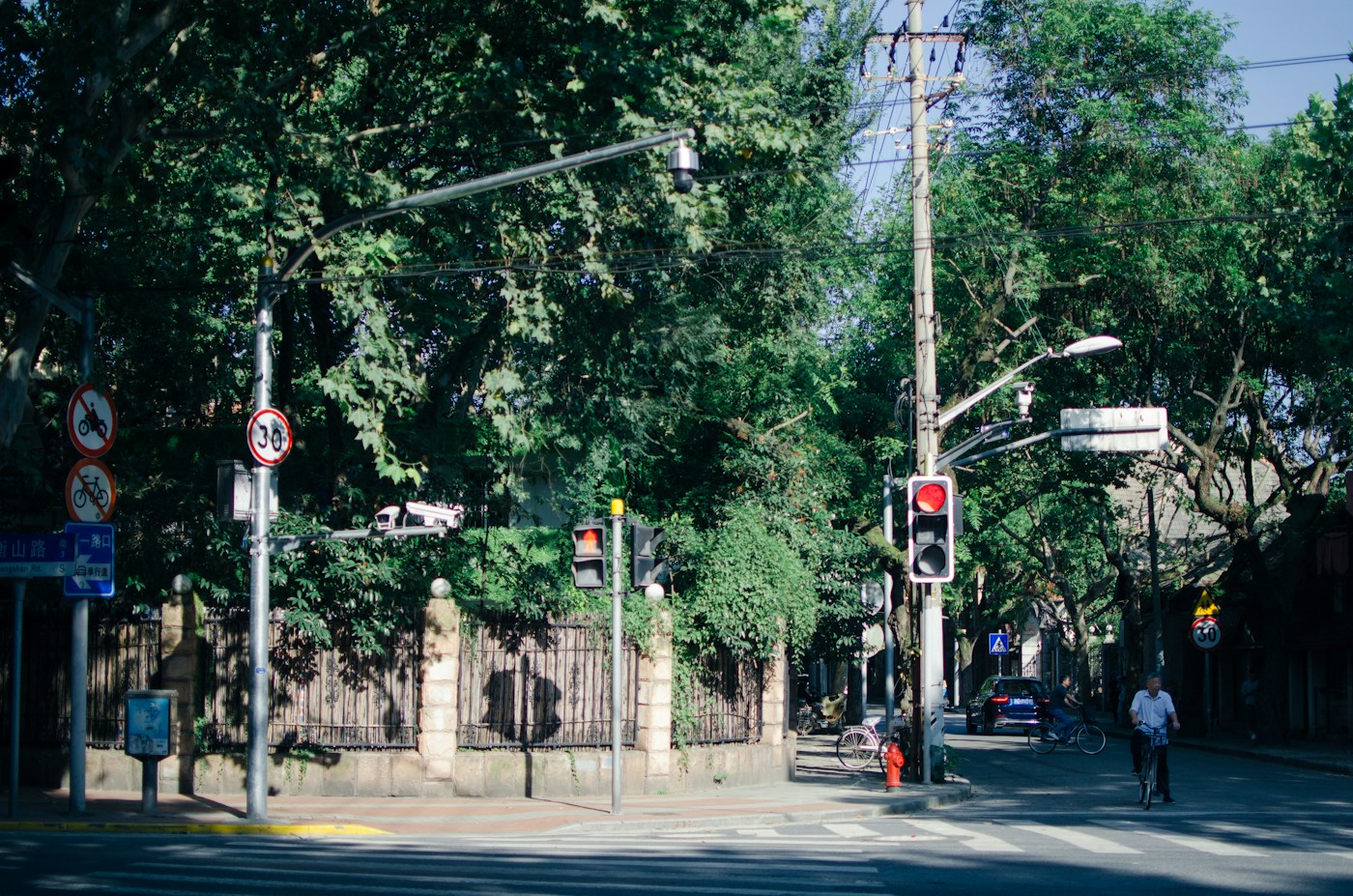 A leafy street corner in Shanghai